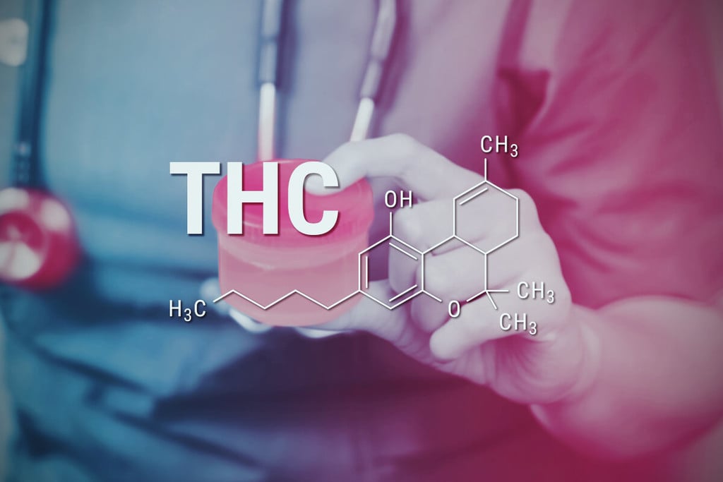 Hoe Krijg Je THC Uit Je Systeem? Een Complete Handleiding