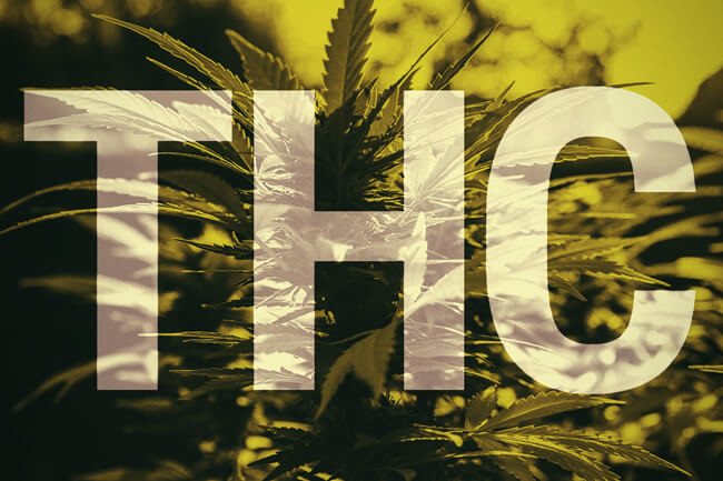 Wat is THC?