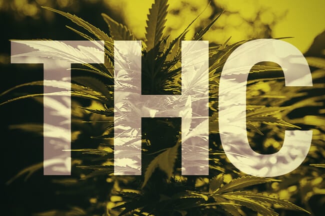 Wat is THC? 