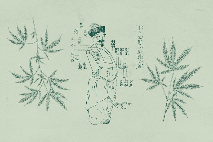 Cannabisgebruik in de traditionele Chinese geneeskunde