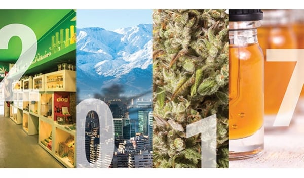 2017, Een Goed Jaar Voor Wiet