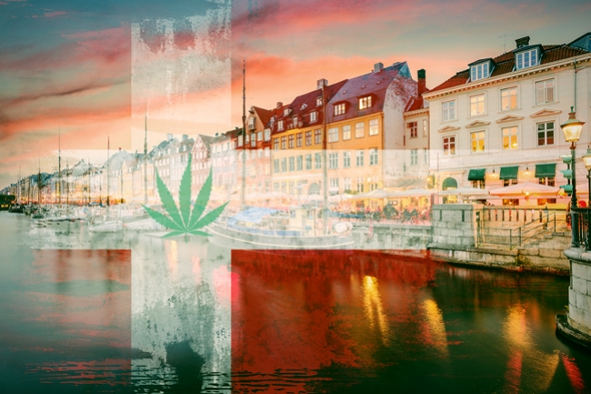 Proef Met Medicinale Cannabis Goedgekeurd In Denemarken