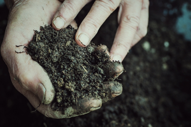 Hoe Bespaar Je Geld Met Hergebruik Van Oude Grond?