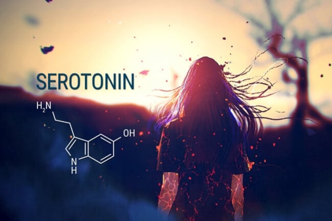 CBD, serotonine en angst