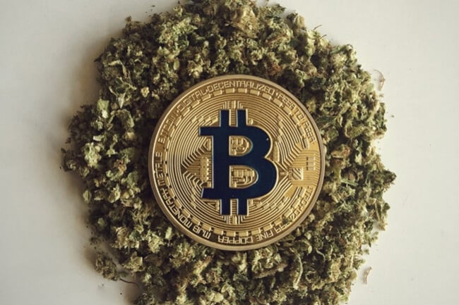 Het nut van cryptocurrency voor de cannabisindustrie