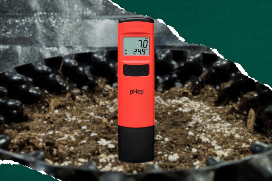 Alles Over pH en de Invloed op Wietplanten