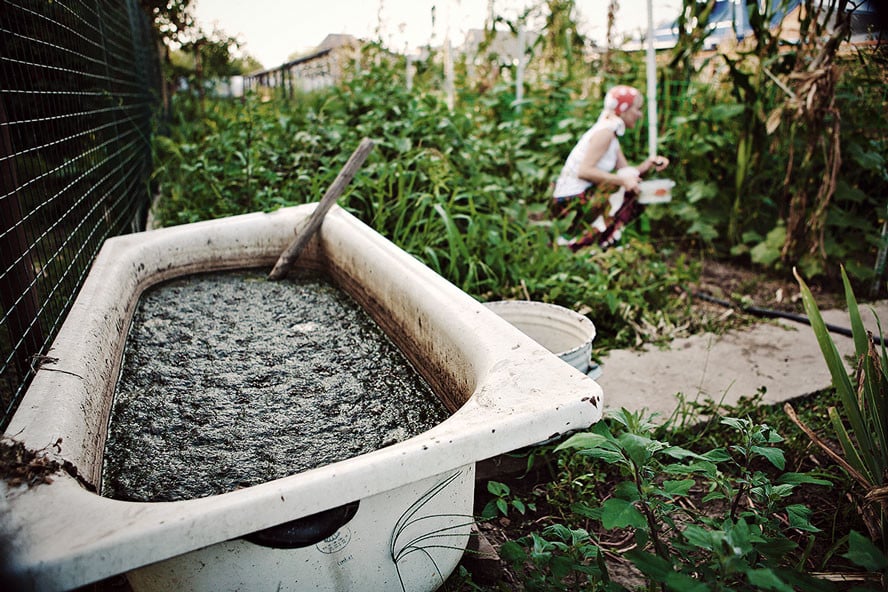 Gebruik Compost Thee Om Je Cannabisplanten Te Voeden