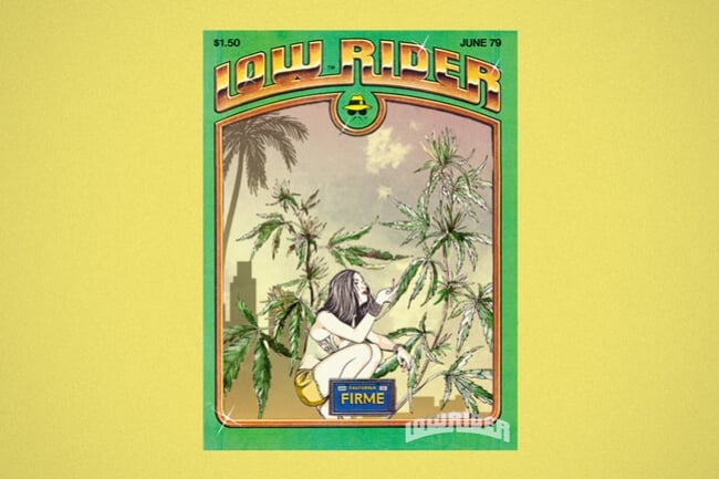 Lowryder: De Eerste Fenomenale Autoflowering Wiet 