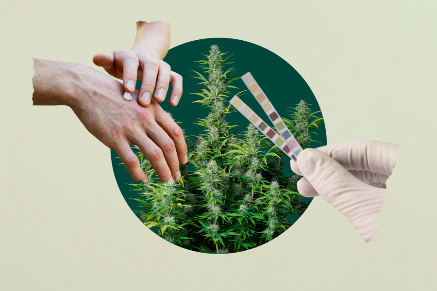 Hoe zit het met cannabis topicals en drugstests?