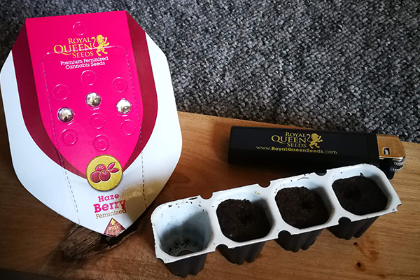 Easy Start Easy Start