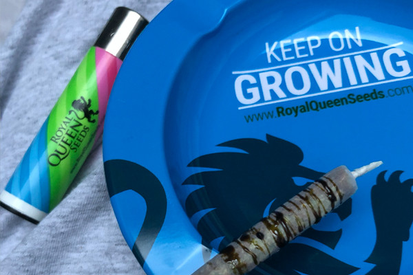 Royal Queen Seeds Asbak