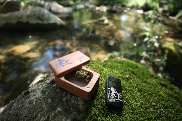 Plasma Aansteker RQS